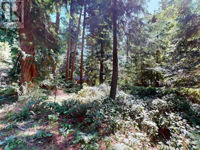 1349 VANCOUVER BLVD