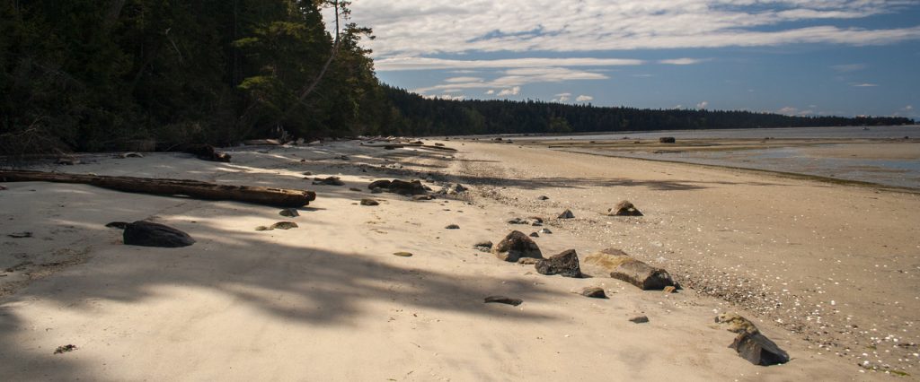 Long sandy beach at low tide, Indian Point, Savary Island