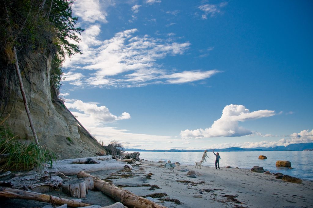 South beach below the bluffs, Savary Island